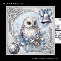 Winter Owl mini kit