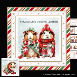 Guinea Pig Christmas