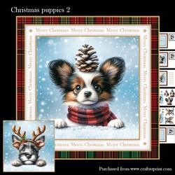 Christmas puppies