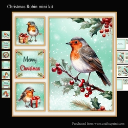 Christmas Robin mini kit