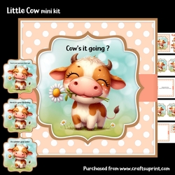 Little Cow mini kit