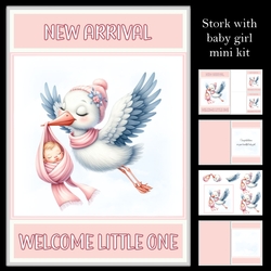 New Arrival mini kit 