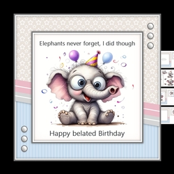 Belated Birthday