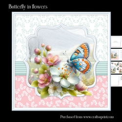 Butterfly in flowers