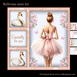 Ballerina mini kit