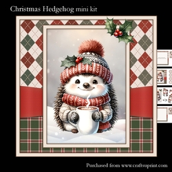 Christmas Hedgehog
