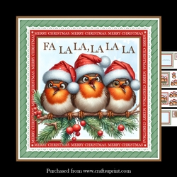 Robin Choir