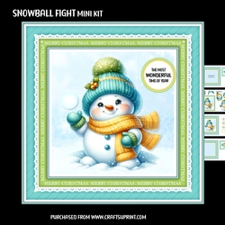 Snowball fight
