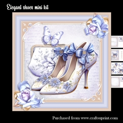 Elegant shoes