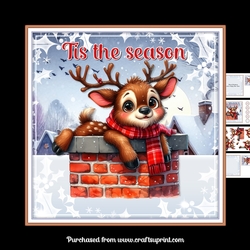 Tis the season