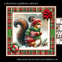 Christmas Squirrel