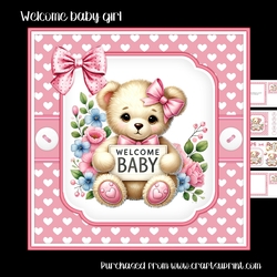 Welcome baby girl