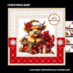 Christmas baby
