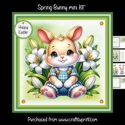 Spring Bunny mini kit