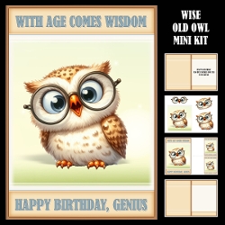 Wise Old Owl