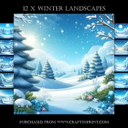 Winter Landscapes