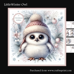 Little Winter Owl
