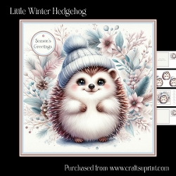 Little Winter Hedgehog