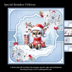 Special Reindeer Delivery