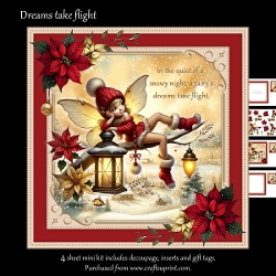 Dreams take flight