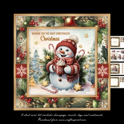 The happy snowman