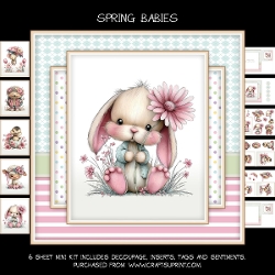 Spring babies