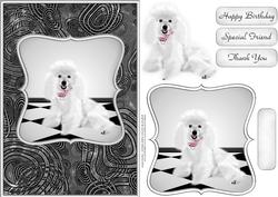 Poodle Quick Card