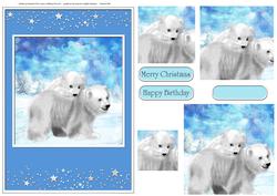 Polar Card Front