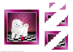 Angora Kitten Card Front