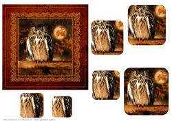Owl Card Front