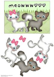 Kitten Quick Card