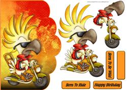 Born to Ride