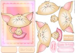 Kitten Step by Step