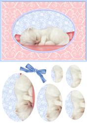 Sleepy Kitten 2 Card Front
