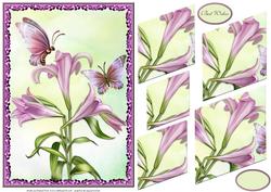 Lilies Card Front