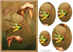Humming Bird Card Front