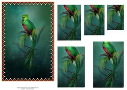 Quetzal Bird Card Front