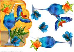 Tropical Card Front