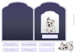 Paws Folded Card