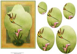 Humming Bird Card Front 2