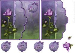 Purple Rose