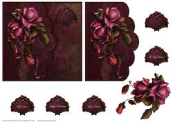 Roses on Lace