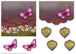 Flora and Butterflies 3