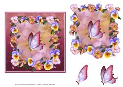 Pansies