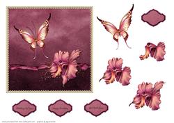 Orchid and Butterfly