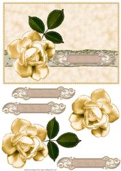 Flower and Lace