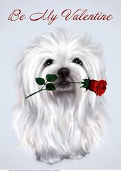 My Valentine