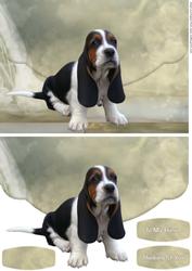 Basset Envelope Card
