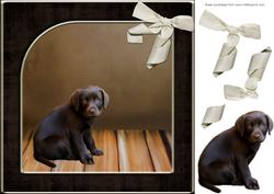 Brown Labrador Card Front
