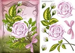 Rose and Bow